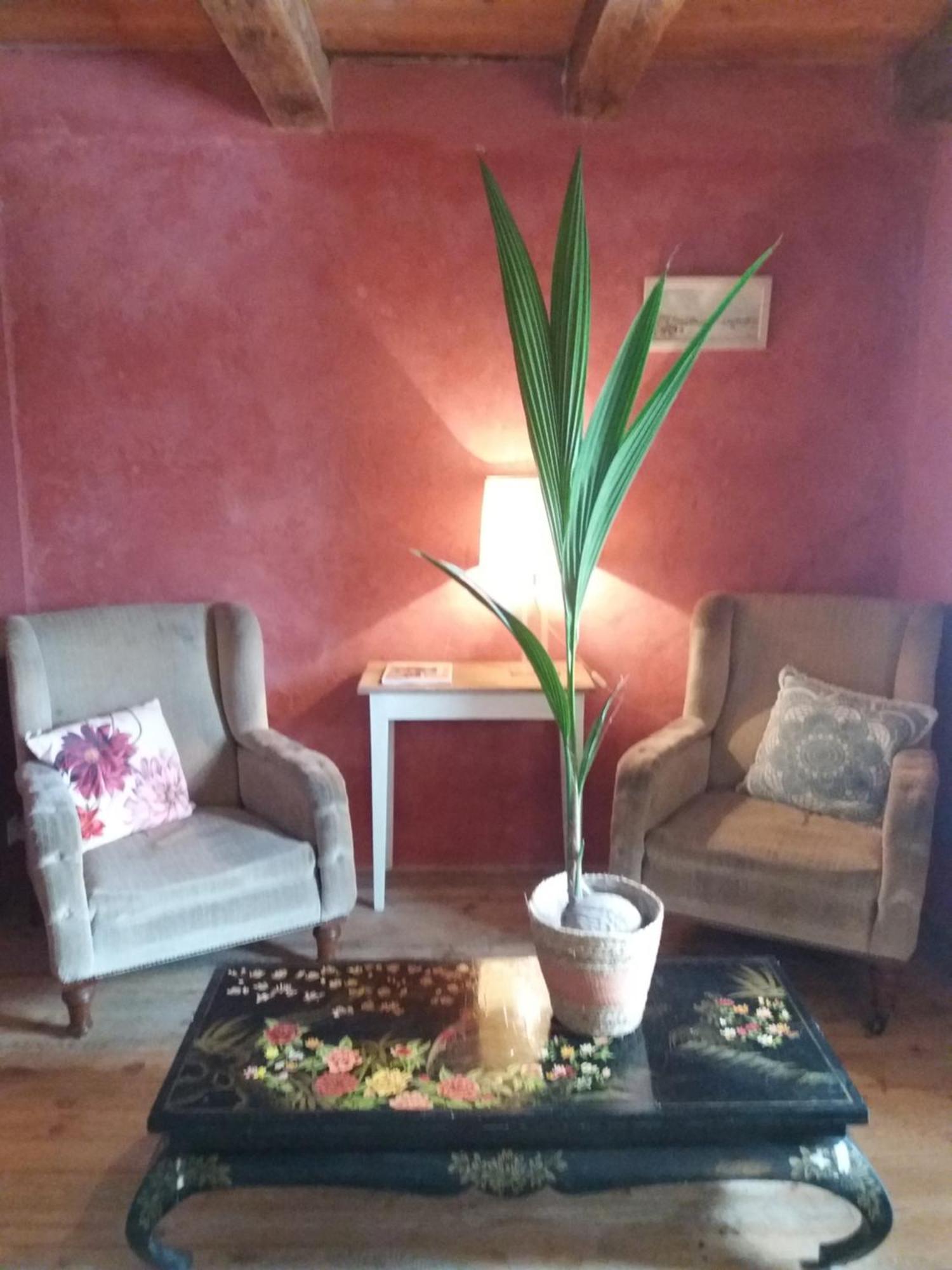 Domaine D'Angel-Berg Hotel Vezins-de-Levezou Cameră foto